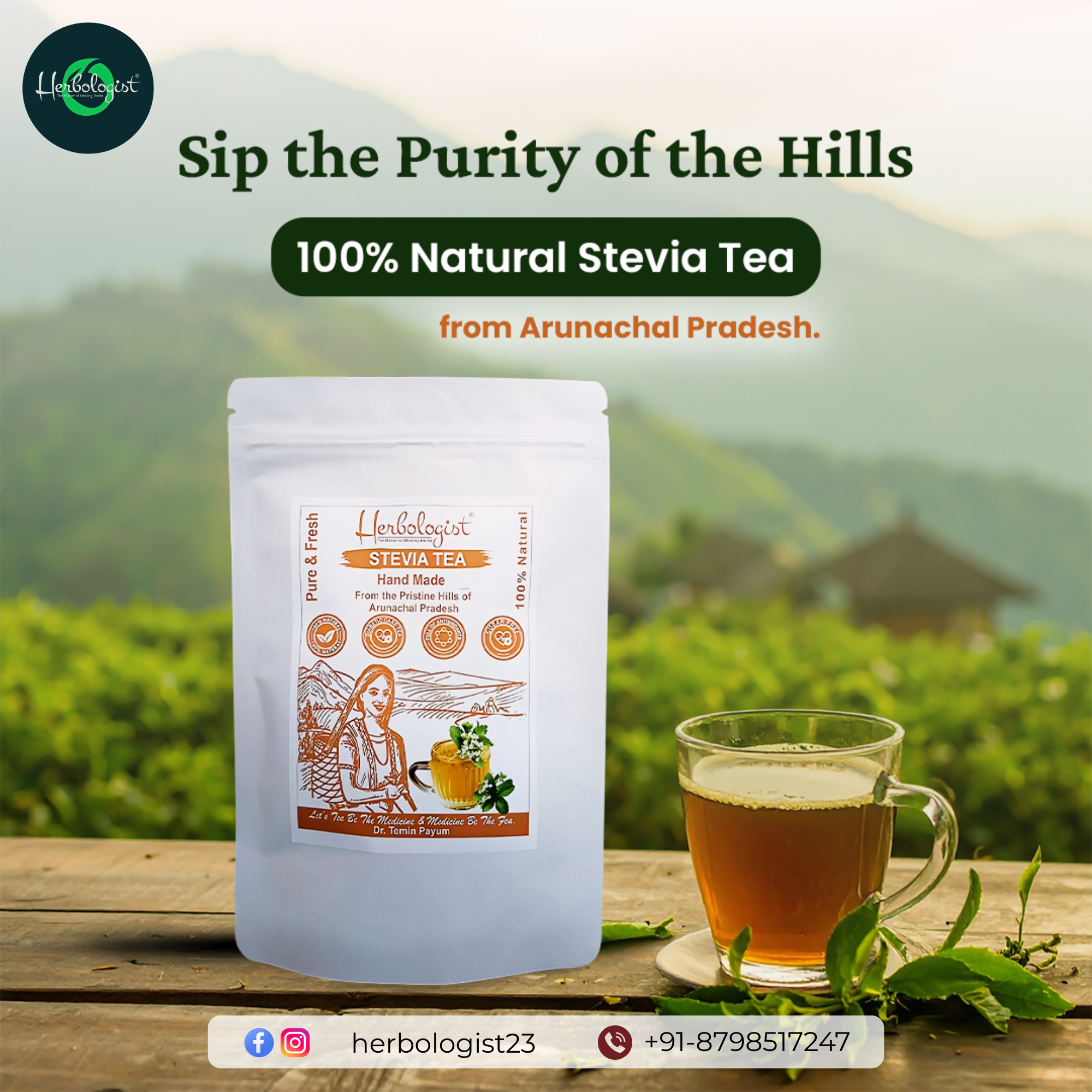 100% Natural Stevia Tea from Arunachal Pradesh – Pure, Fresh & Handmade | Herbologist