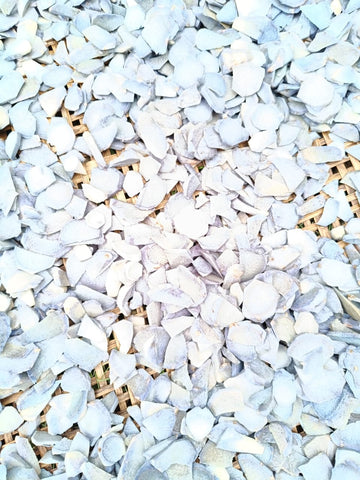 Black Turmeric piece