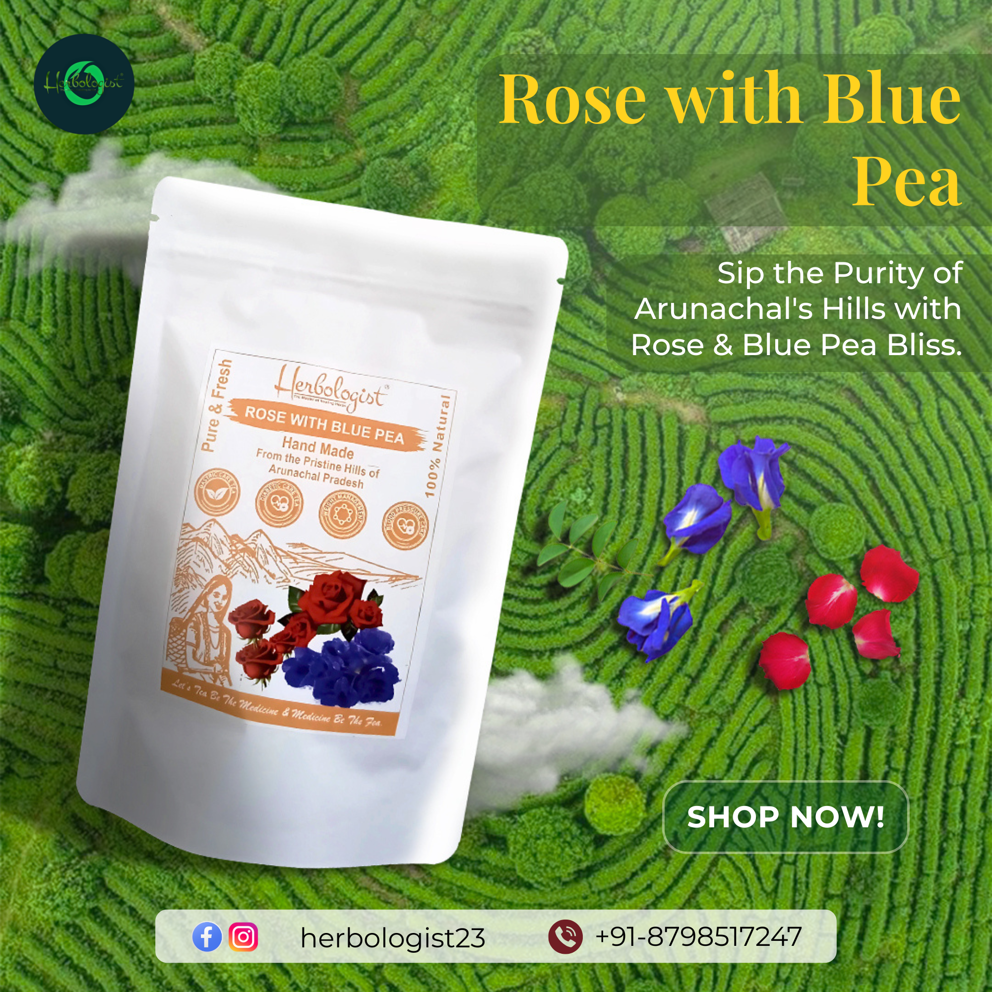 Herbologist Rose with Blue Pea Tea – Floral Infusion for Calm, Clarity & Wellness